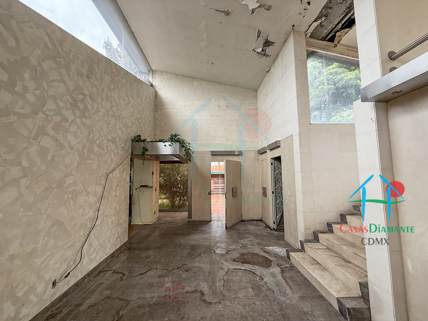 Bosques de las Lomas Terreno Jaguar BBC - Propiedad a demoler 22